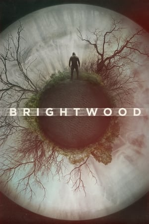 Nonton Film Brightwood (2022) Terbaru Nonton Film Brightwood (2022) Terbaru