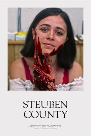 Nonton Film Steuben County (2020) Terbaru Nonton Film Steuben County (2020) Terbaru
