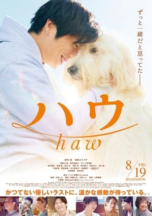 Nonton Film Haw (2022) Terbaru Nonton Film Haw (2022) Terbaru