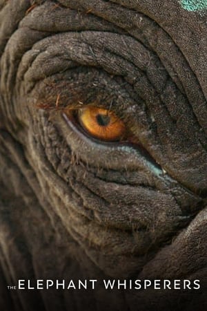 Nonton Film The Elephant Whisperers (2022) Terbaru Nonton Film The Elephant Whisperers (2022) Terbaru