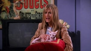 Nonton Film Friends Season 5 Episode 21 Terbaru Nonton Film Friends Season 5 Episode 21 Terbaru