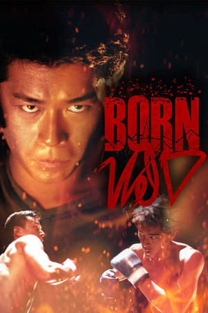 Nonton Film Born Wild (2001) Terbaru Nonton Film Born Wild (2001) Terbaru