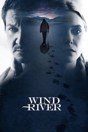 Nonton Film Wind River (2017) Terbaru Nonton Film Wind River (2017) Terbaru