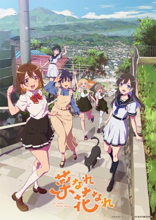 Nonton Film Na Nare Hana Nare – Episode 11 Terbaru