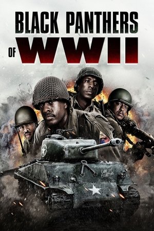 Nonton Film Black Panthers of WWII (2025) Terbaru Nonton Film Black Panthers of WWII (2025) Terbaru