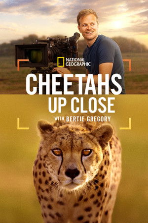 Nonton Film Cheetahs Up Close with Bertie Gregory (2026) Terbaru Nonton Film Cheetahs Up Close with Bertie Gregory (2026) Terbaru